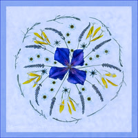 Petal Mandala