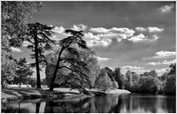 Tranquil Moment